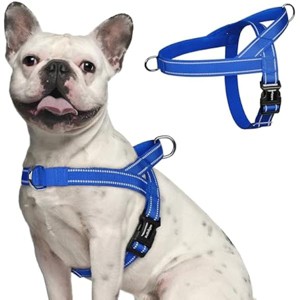 rabbitgoo Dog Harness No Pull, Quick Fit for Medium Sized  Reflective Pet Vest, No Choke Escape Proof for Walking Training, Blue M - 1 of 1