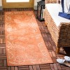 Courtyard CY2665 UV & Stain Resistant Non-Shedding Power Loomed Indoor/Outdoor Rugs - Safavieh - 2 of 4