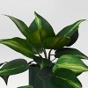 Traditional Ivy Artificial Plant - Room Essentials™ - 4 of 4