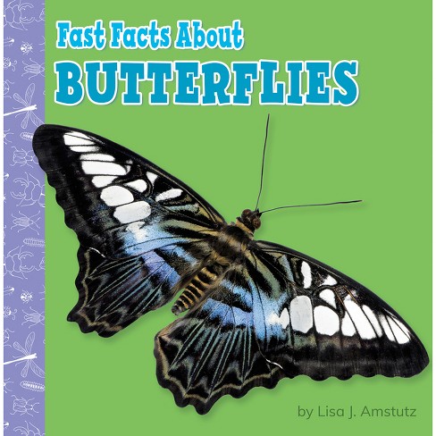 13 Facts About Butterflies 