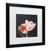 Trademark Fine Art - Bilge Paksoylu  Soft Pink Grey Bg Matted Framed Art - 3 of 4