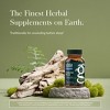 Gaia Herbs Valerian Root - Natural Sleep Support for a Natural Calm to Help Relaxation to Prepare for Sleep - 60 Vegan Liquid Phyto-Capsules - 3 of 4