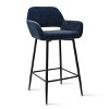 William 24" Counter Height Bar Stools Set of 2 with Back, Velvet Upholstered Bar Stools For Kitchen Island-Maison Boucle - 4 of 4