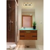 Beckett 3-Light Vanity Light - Dimmable Steel Fixture with Clear Seedy Glass Shades - 4 of 4