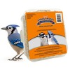 Armstrong Wild Bird Food Bird Grub Suet Cake, 10.6oz (Pack of 12) - 2 of 4