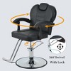 Dexmalle 360° Reclining Barber Salon Chair with Heavy Duty Hydraulic Pump,Black - 4 of 4