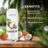 Majestic Pure Fractionated Coconut Oil - Massage Oil & Carrier Oil for Skin, Hair, & Body - 16 Fl Oz - 3 of 4