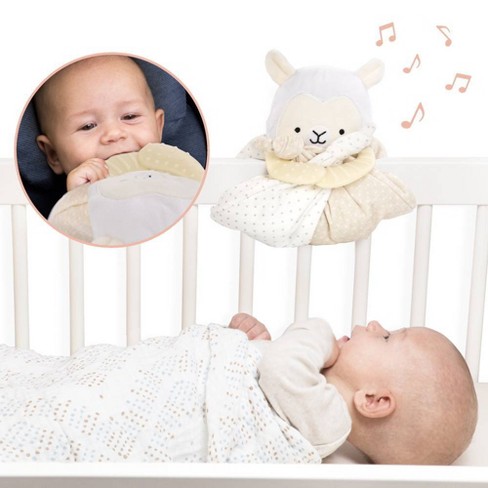 Lulyboo bassinet best sale to go safety