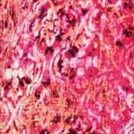 pink burst textured stencil