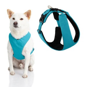 Gooby Lite Gear Z Harness Scratch Resistant Ergonomic Dog Harness with Shock Absorption - 1 of 1
