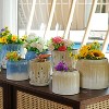 KTMBDW Plant Pots, Ceramic Planters with Drainage Holes, Flower Pots,Nursery Planting Pot for Indoor Out Door Plants - 2 of 4