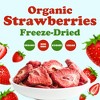 Organic Freeze-Dried Strawberries – by Food to Live - 3 of 4