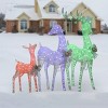 Prelit Deer Family Sculpture Light Assortment - National Tree Company - 2 of 4