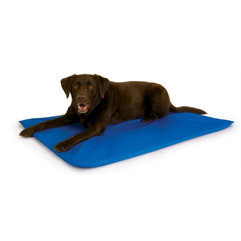 Large dog cooling bed hotsell