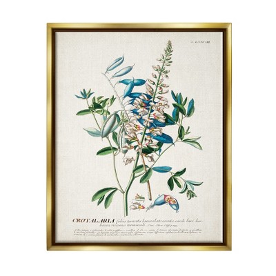 Stupell Industries Botanical Plant Illustration Flowers And Leaves Vintage Design