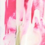 pink burst painterly floral