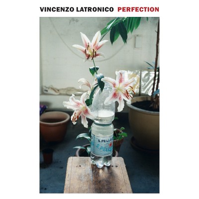 Perfection - by  Vincenzo Latronico (Paperback)