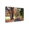 Trademark Fine Art - Danny Head  Autumn Drive I Canvas Art - 4 of 4