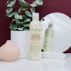 Shea Moisture Jamaican Black Castor Oil Styling Lotion 8 Oz - 2 of 4