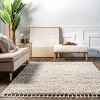 Nuloom Brooke Shag Tasseled Indoor Area Rug - 4 of 4