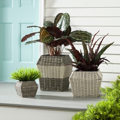 Evergreen Black and Beige Resin Wicker Planter Set of 3