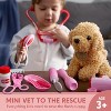 Joyfy 22 PCS Veterinarian Playset Doctor Kit for Kids Girls, Vet Kit Pretend Play with Dog Toy for Toddlers 3 4 5 6, Easter Christmas Birthday Gifts - 2 of 4