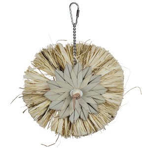 Prevue Pet Products Naturals Raffia Round Bird Toy - 1 of 1