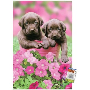 Trends International Keith Kimberlin - Labs Unframed Wall Poster Prints - 1 of 4