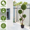 Sapphtopaz Artificial Boxwood Topiary Tree with Wood Trunk, Indoor & Outdoor Artificial Tree Faux Plants, Home Decor for Living Room, Porch, Office - 2 of 4