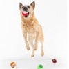 BARK Howly Jowly Holidays Jolly Dough Bros Ball Dog Toy - 4 of 4