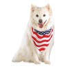 Top Performance 4th of July Stars and Stripes Bandana - 2 of 2
