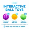 Pacific Pups Products - Dog Toy Balls 6 Pack - Variety Pack of Balls for Dogs - Dog Balls for Fetch - 2 of 4