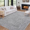 COZONY Washable Modern Area Rug Runner with Non-Slip Backing, Low Pile Braided Print Accent Carpet Mat for Living Room and Bedroom - 3 of 4