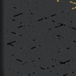 seth freakin rollins