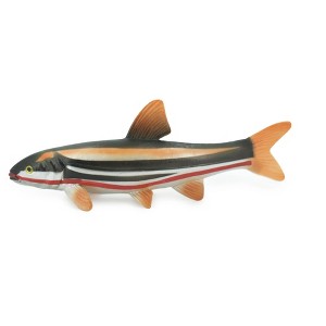 Collectible Wildlife Gifts | Fish, Japanese dace, Big-scaled redfin, Hand Painted, Rubber Fish, Realistic, Toy, Model, Gift,   5 1/2"   CH478 BB153 - 1 of 4