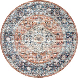 Nuloom Zara Vintage Medallion Indoor Area Rug - 1 of 4