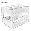 TIRAMISUBEST Twin XL/ Full XL/ Queen over Queen Size Kids Bunk Bed Frame with Pegboard Storage Box and Built-in Bookshelf - 4 of 4