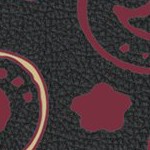 florida state seminoles