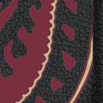 florida state seminoles