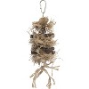 Prevue Pet Products 62541 Naturals Brownie Bundle Toy - 3 of 3