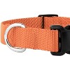 Country Brook Petz Deluxe Nylon Dog Collar and Leash - 4 of 4