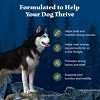Blue Buffalo Wilderness Adult Dry Dog Food with Duck & Chicken Flavor - 4.5lbs - 4 of 4