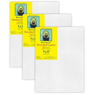 Strathmore 300 Series Gallery Stretched Canvas, 9x12 inch, Pack of 3 - 1 of 4