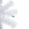 Northlight Pre-Lit Woodbury White Pine Artificial Christmas Wreath - 24" - Green Lights - 3 of 4