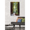 Trends International Lantern Press - Muir Woods Pathway Framed Wall Poster Prints - 2 of 4
