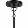 Craftmade Lighting Stowe 4 - Light Chandelier in  Flat Black - 3 of 4