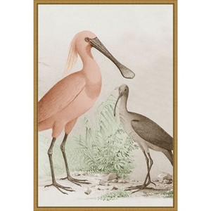 Amanti Art Antique Chroma Waterbirds II by  Framed Canvas Wall Art - 1 of 4