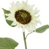 Allstate Floral Sunflower Artificial Floral Spray - 25" - White - 4 of 4