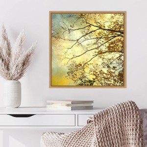 Amanti Art Storm Clouds II by Judy Stalus Framed Canvas Wall Art Print - 1 of 4
