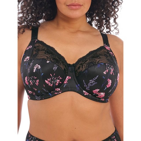 George Non Padded/Non Wired Embroidery Lace Bra Curve Plus